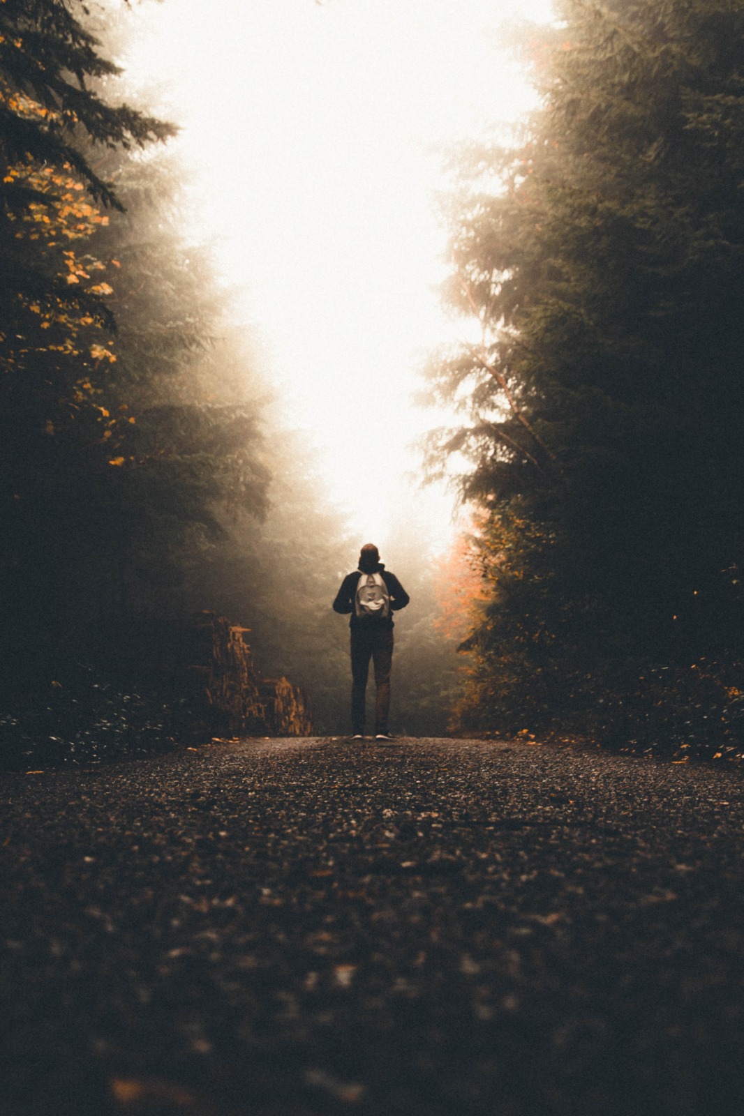 Solitude como autoconhecimento